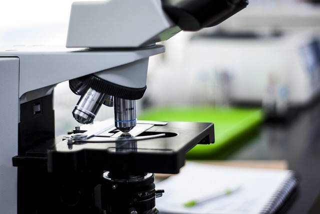 高性能耐黃變體系用高活性催化劑，有效抵抗紫外線和光照導(dǎo)致的黃變