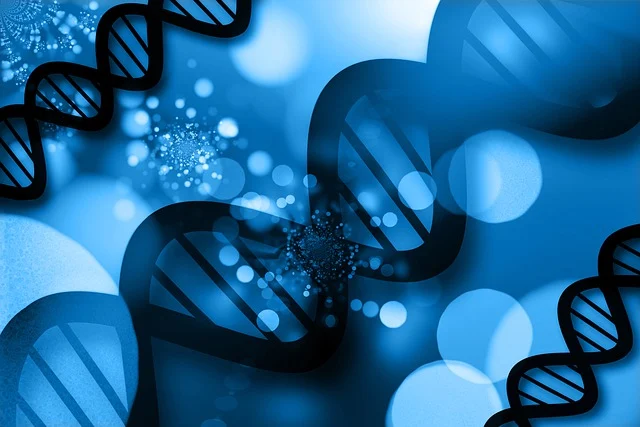 高效聚氨酯硬泡催化劑，確保泡沫快速固化，具有高閉孔率和優(yōu)異的保溫性能